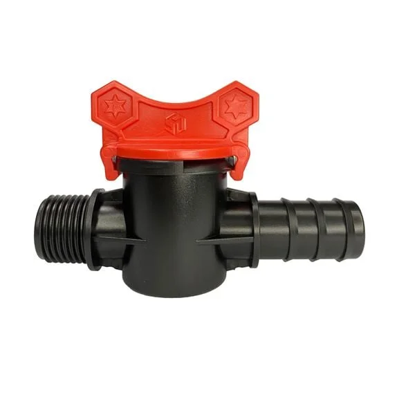 Hình ảnh minh họa (3)