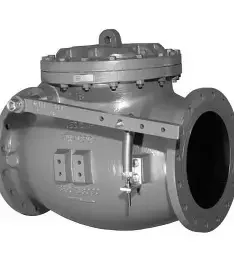 Hình ảnh minh hoạ 1