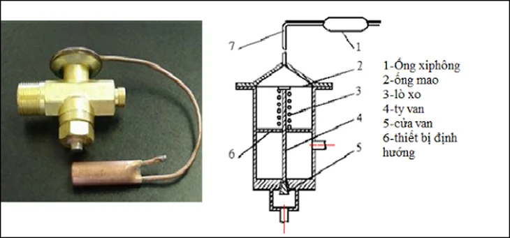 Hình ảnh minh họa (3)