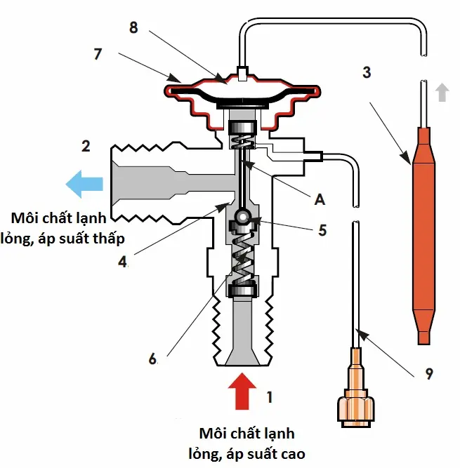 Hình ảnh minh họa (1)