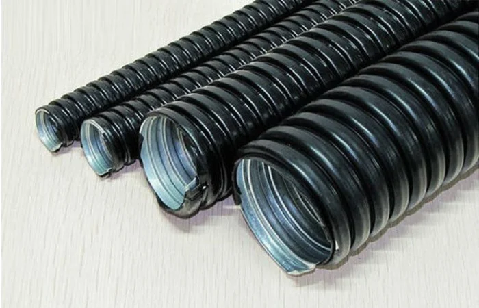 Hình ảnh minh họa (3)