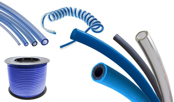 Hình ảnh minh hoạ 2