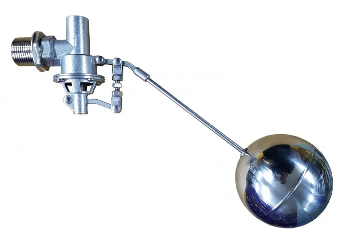 Hình ảnh minh hoạ 2