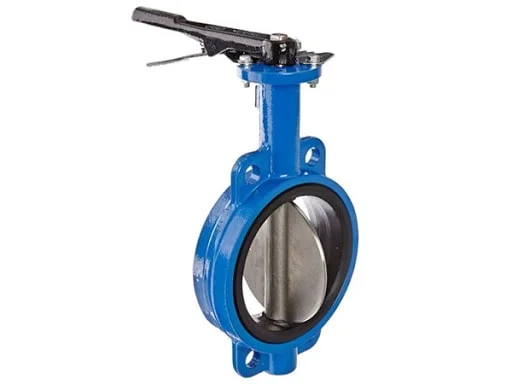 Hình ảnh minh hoạ 1