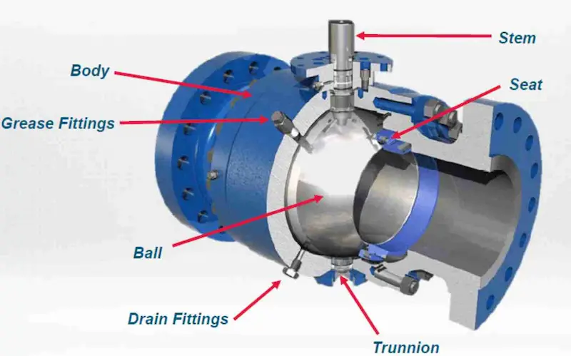 Hình ảnh minh họa (2)
