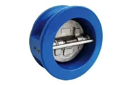 Hình ảnh minh hoạ 2