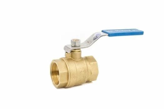 Hình ảnh minh hoạ 2