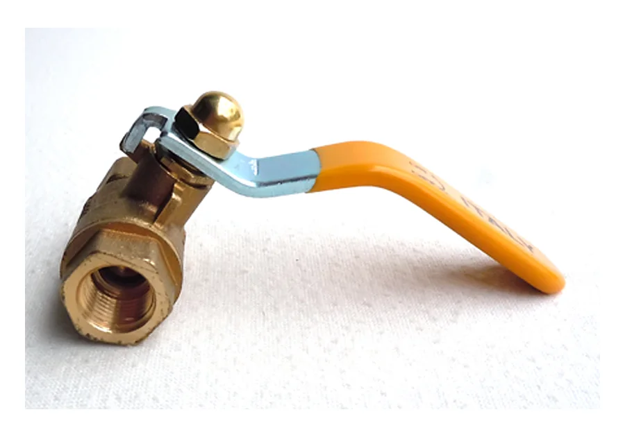 Hình ảnh minh hoạ 2