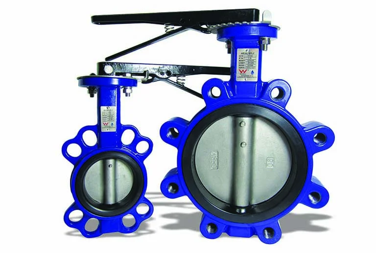 Hình ảnh minh hoạ 2