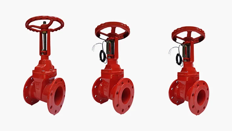 Hình ảnh minh họa (3)