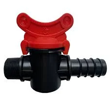 Hình ảnh minh hoạ 2