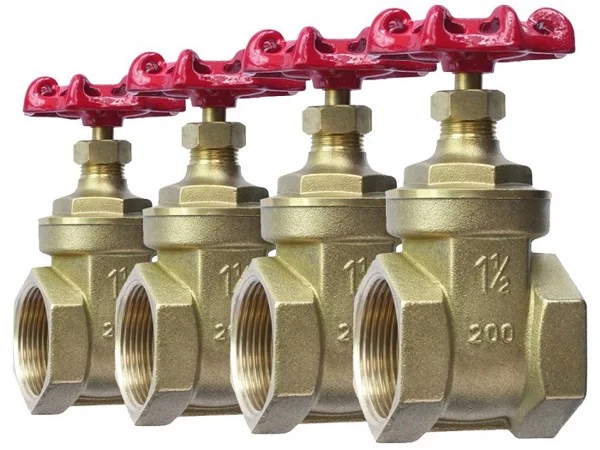 Hình ảnh minh họa (3)