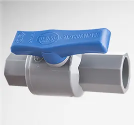 Hình ảnh minh họa (2)