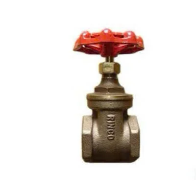 Hình ảnh minh hoạ 1