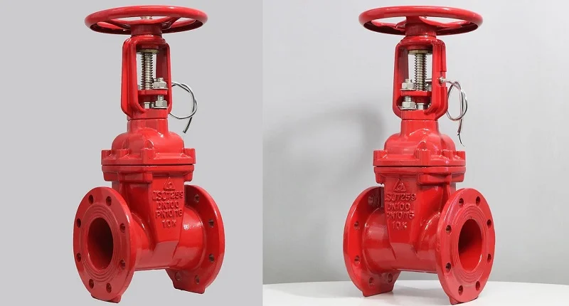 Hình ảnh minh hoạ 1