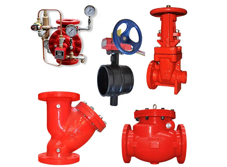 Hình ảnh minh họa (3)