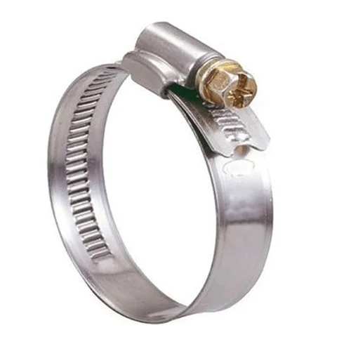 Hình ảnh minh hoạ 2