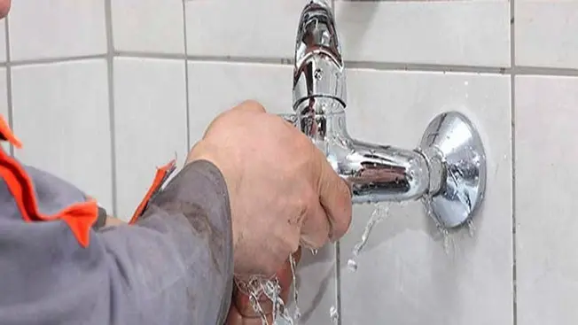 Hình ảnh minh họa (2)