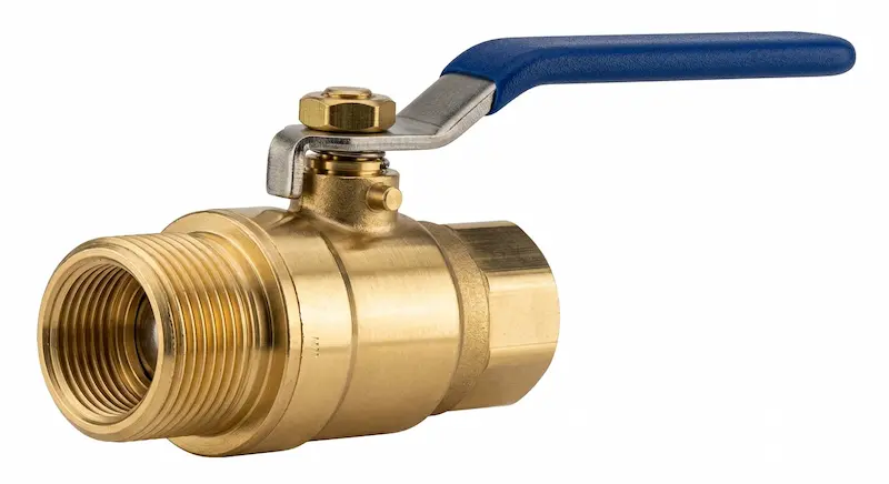 Hình ảnh minh họa 2