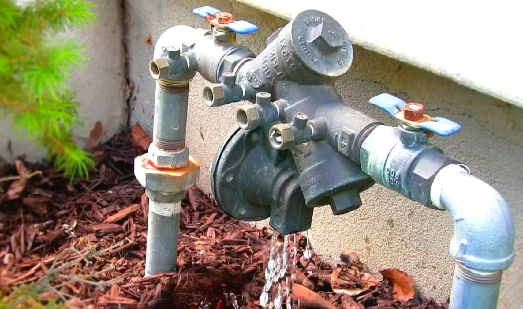 Backflow Preventer