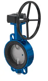 Butterfly Valve DN150 2