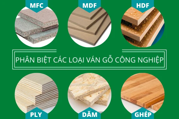 Hình ảnh minh họa (2)