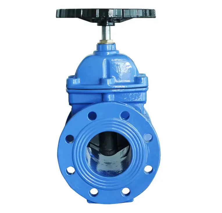 Flange Type Gate Valve 2