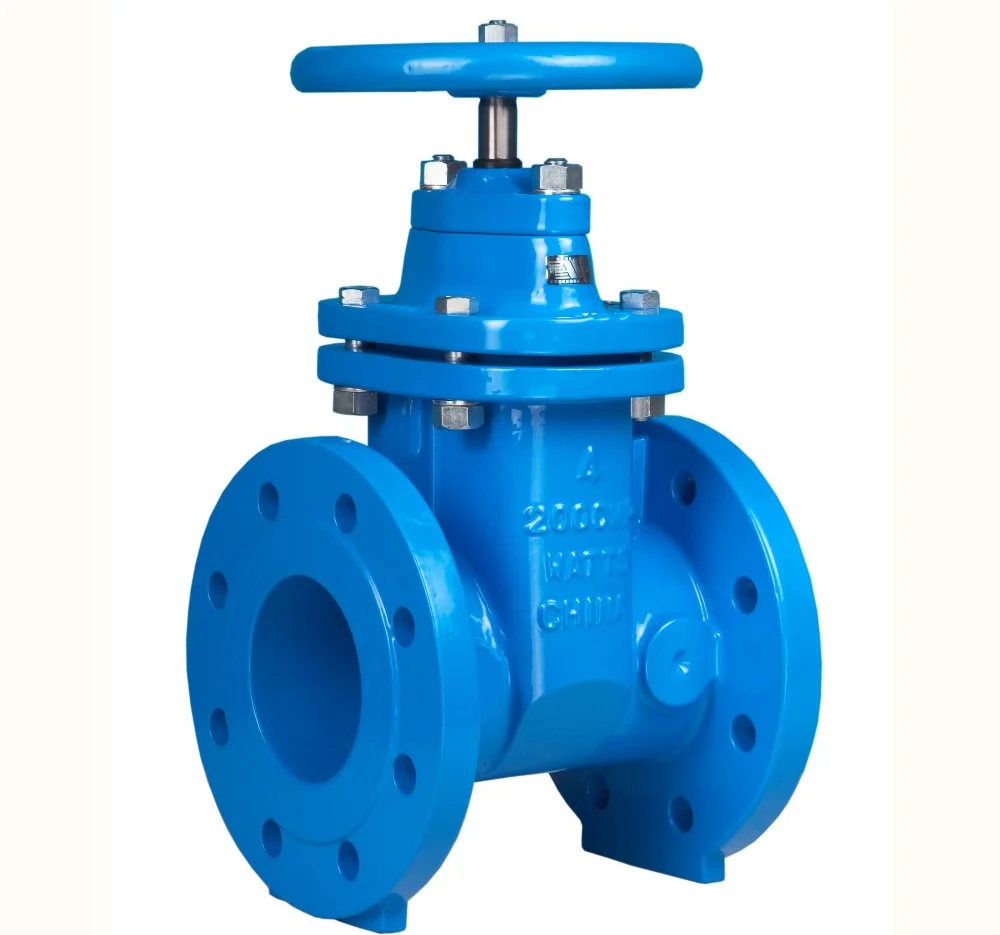 Gate Valve 6 2