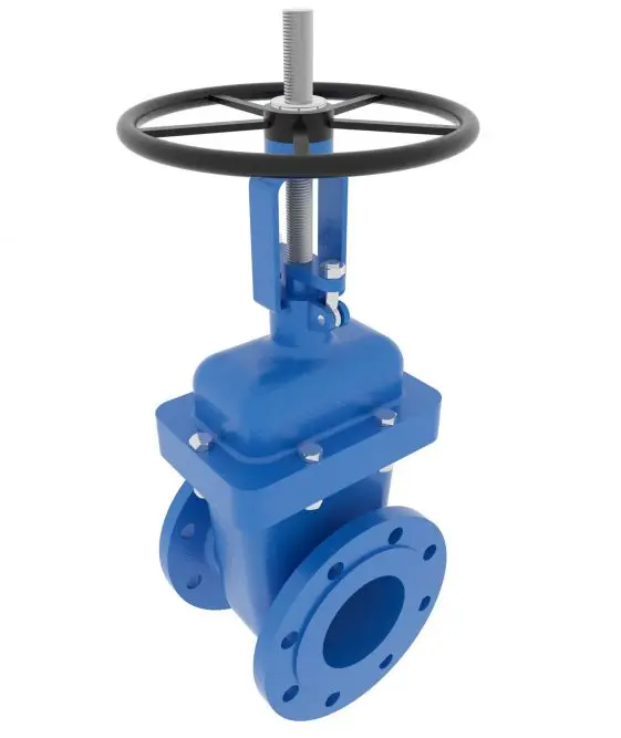 Gate Valve Dn65 2