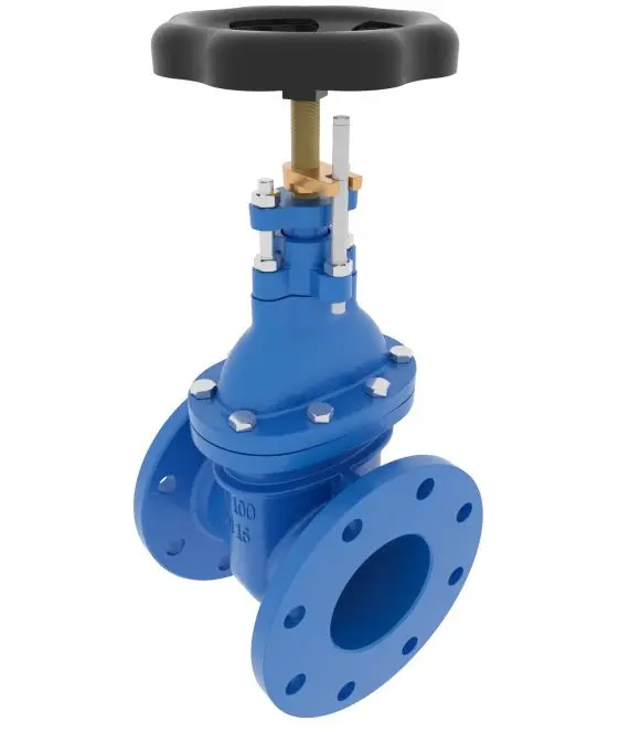 Gate Valve Dn65