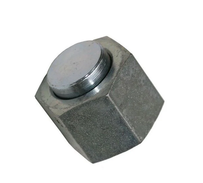 Plug Inox 2