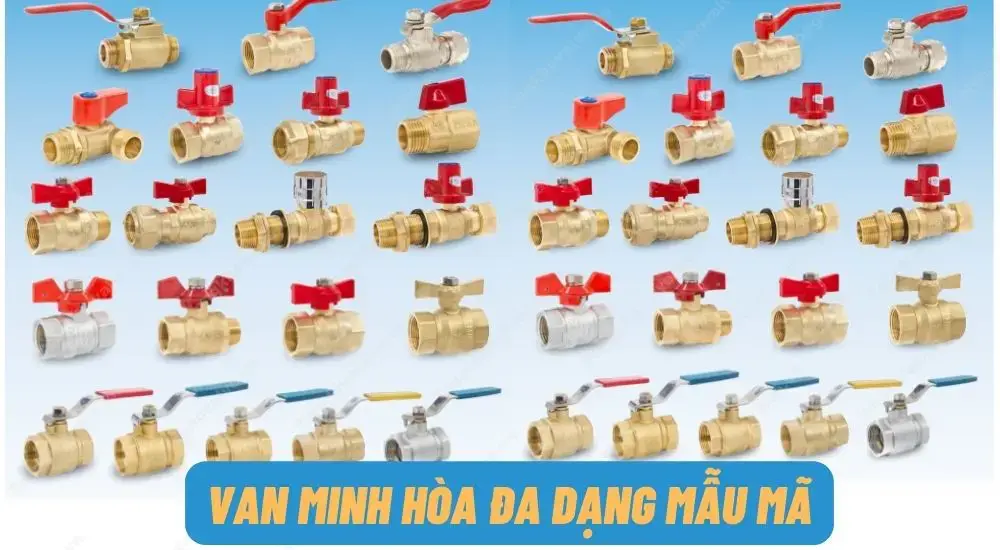 Hình ảnh minh họa (2)