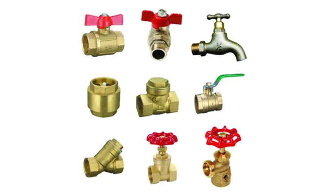 Hình ảnh minh họa (3)