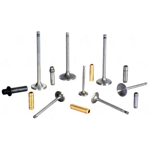 Hình ảnh minh họa (3)