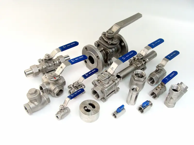 Hình ảnh minh họa (2)