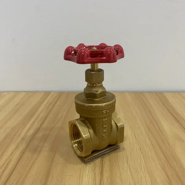 Hình ảnh minh họa (1)