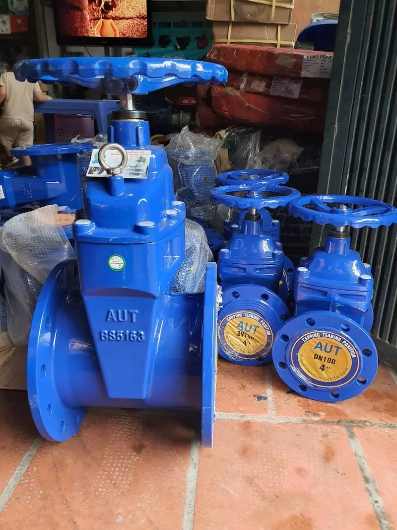 Hình minh họa (1)