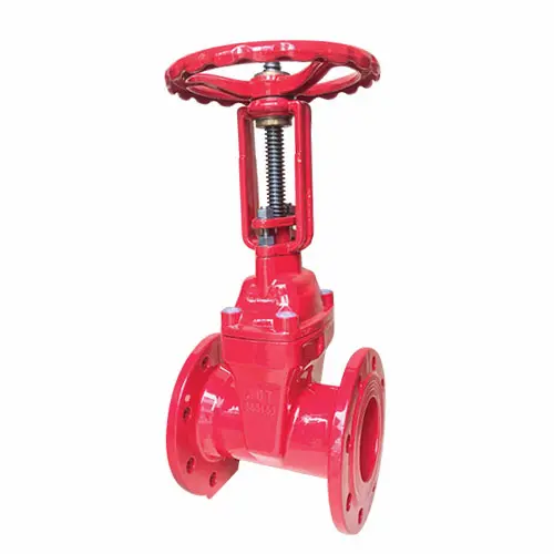 Hình ảnh minh họa (1)