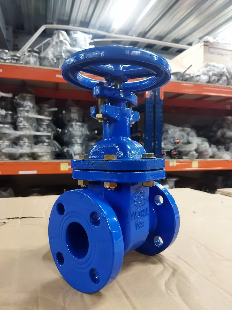 Hình minh họa (1)