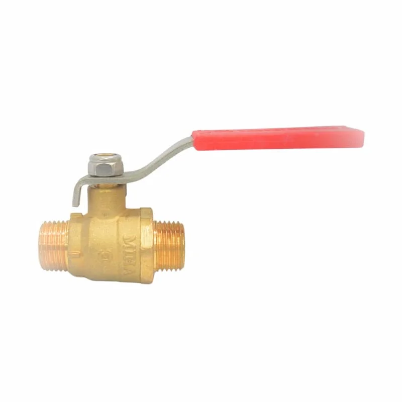 Hình minh họa (1)