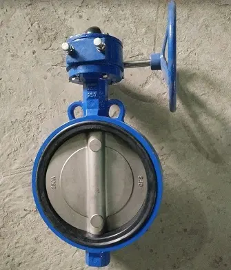 Hình ảnh minh họa (1)