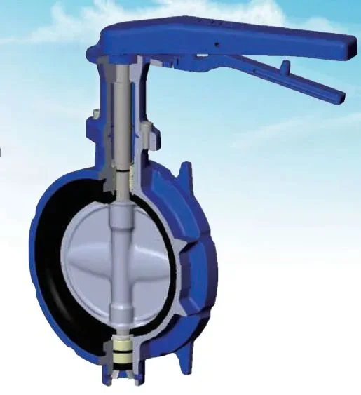 Hình ảnh minh họa (3)