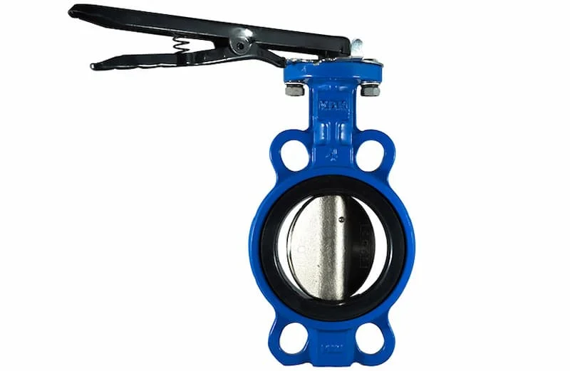 Hình minh họa (3)