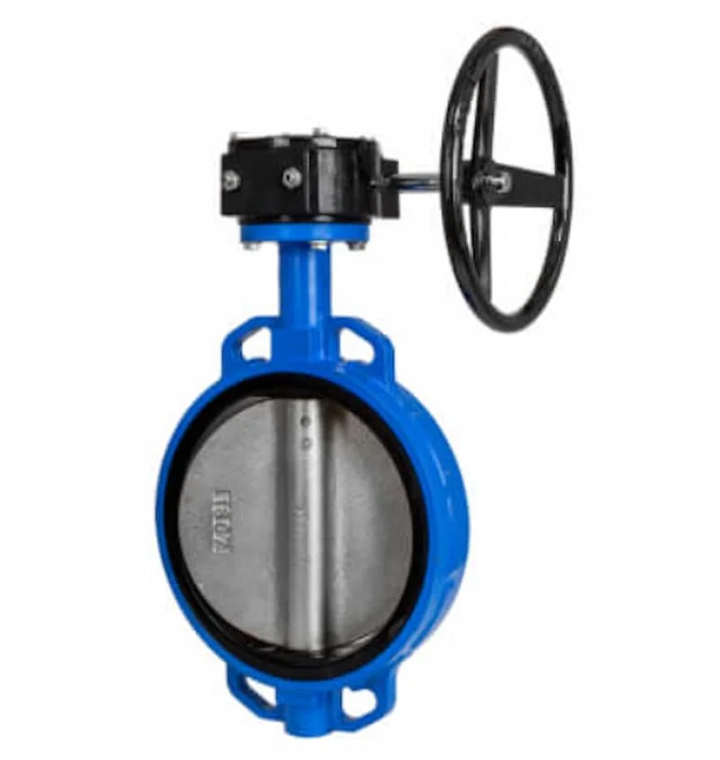 Hình minh họa (2)