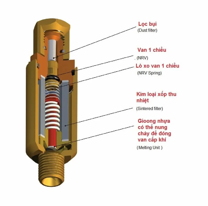 Hình ảnh minh họa (3)