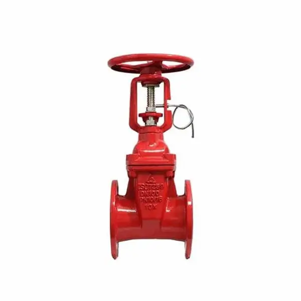 Hình ảnh minh họa (2)