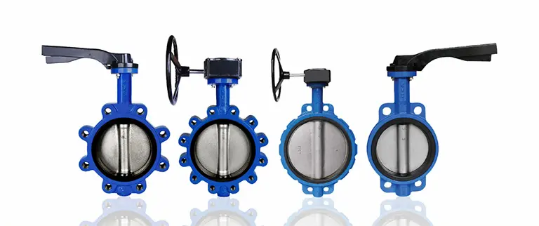 Hình ảnh minh họa (2)