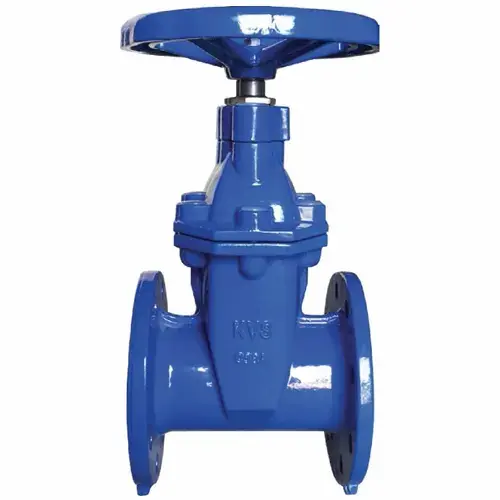 Hình ảnh minh họa (1)