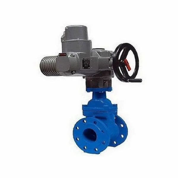 Hình ảnh minh họa (3)