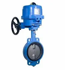 Hình ảnh minh họa (1)